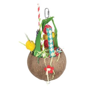 Jouet Noix de Coco festive pour Oiseaux – SMART PLAY HARI
