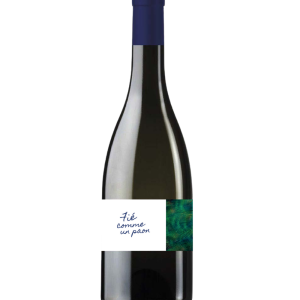 Domaine du Paon Perché – Fié Comme Un Paon – 2023