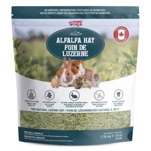 Foin de Luzerne Alfalfa pour Rongeurs – Living World