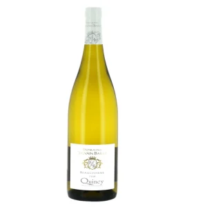 Quincy Domaine Sylvain Bailly Beaucharme 2021