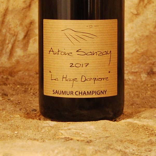 Saumur Champigny – La Haye Dampierre 2022 – Antoine Sanzay – Image 3
