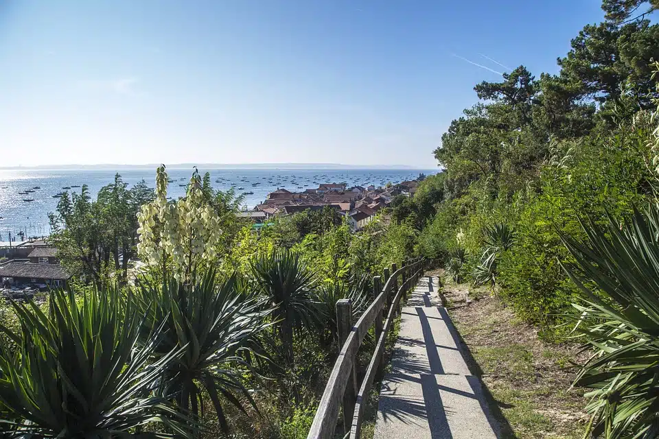 Visite Guidée Arcachon (2h) – Image 2