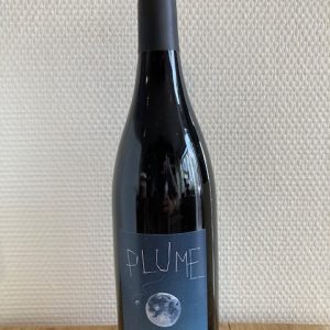 Saumur Champigny, Plume, Bruno Dubois, 2021