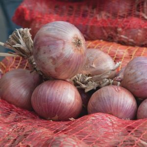 Oignon ‘Rosé d’Armorique’ (Variété régionale) Graines