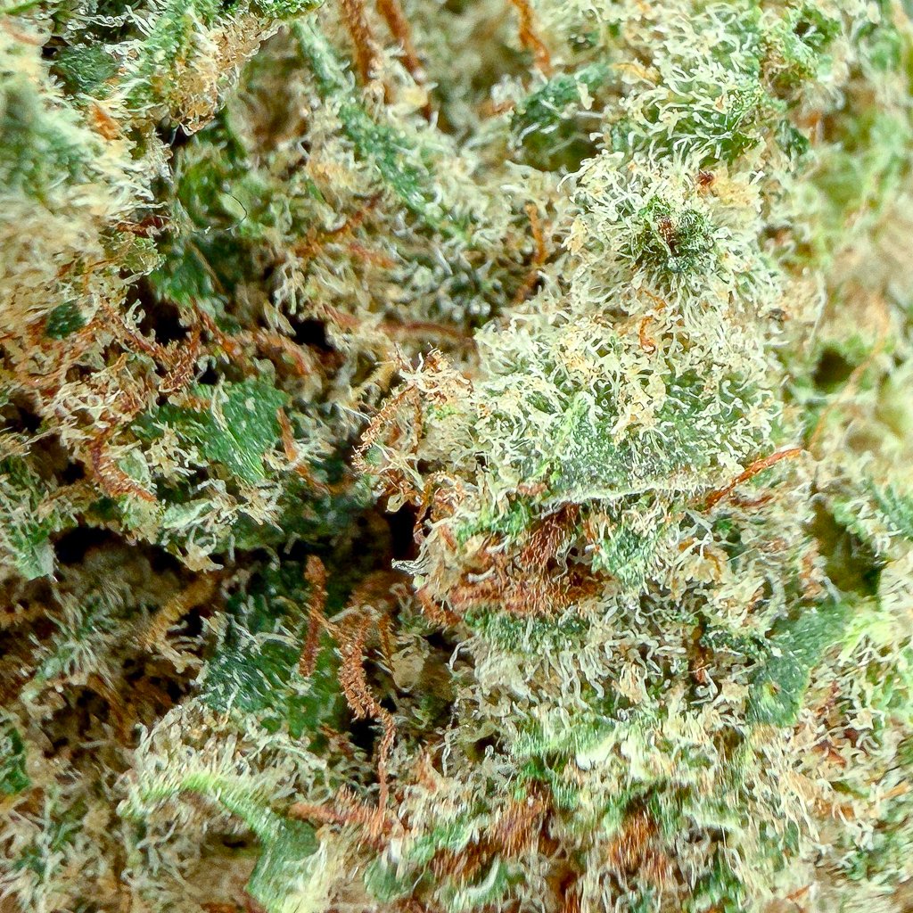 White Cherry Cake CBD – Big Bud – Indoor Cali – Image 3