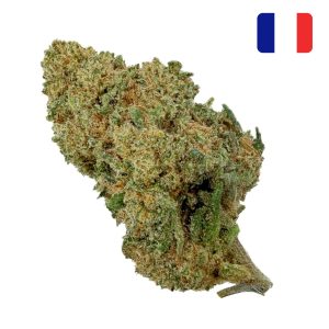 Lifter CBD – Bud Mix – Glass-House