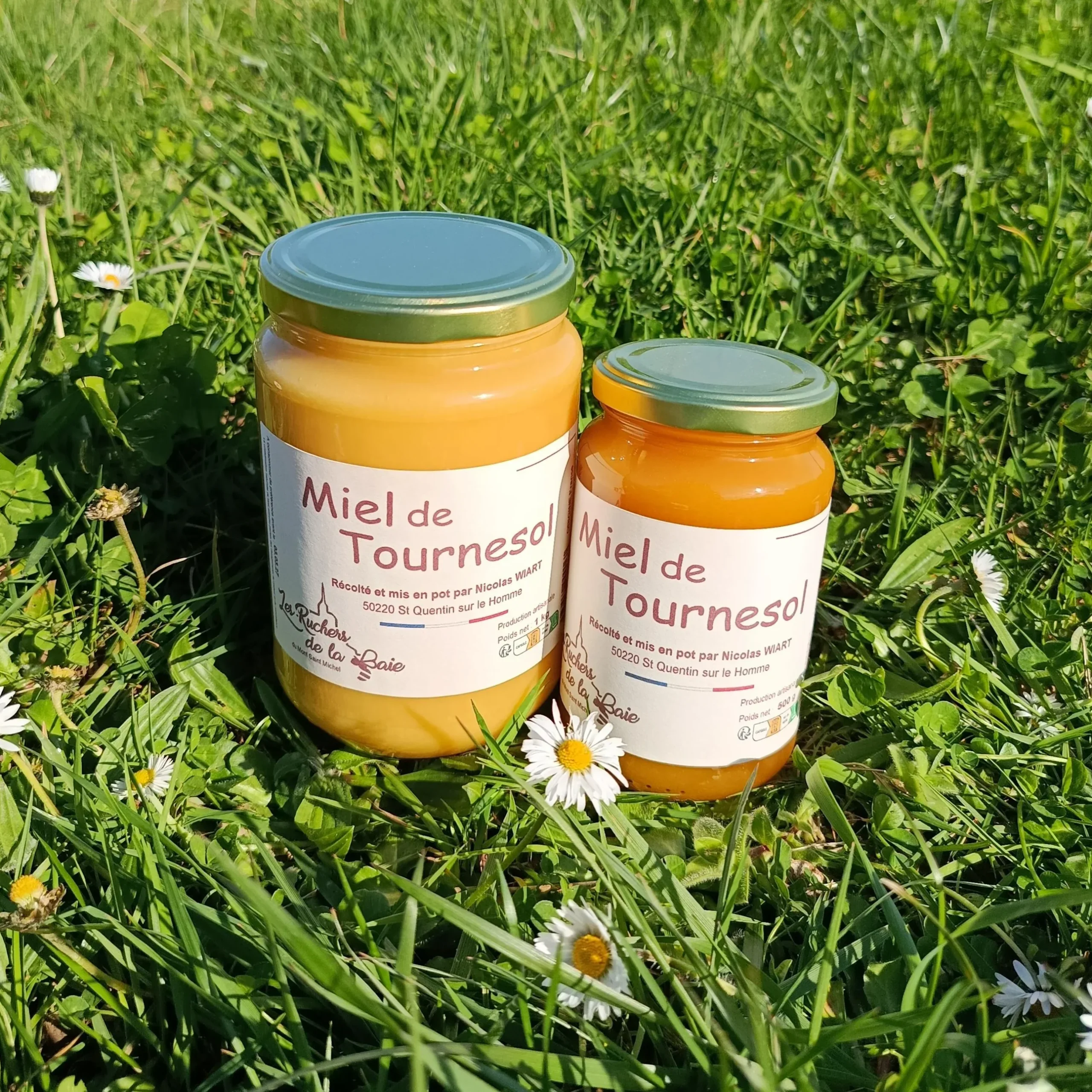 Miel de Tournesol des Ruchers de la Baie du Mont Saint-Michel – Image 2