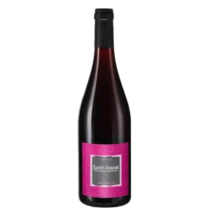 SAINT-AMOUR 2020 – Domaine GUILLOT-GONIN