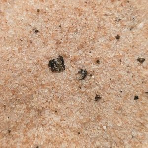 Diamant sel truffe