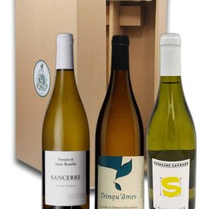 Coffret Vin - Monocepage SAUVIGNON - 3 bouteilles